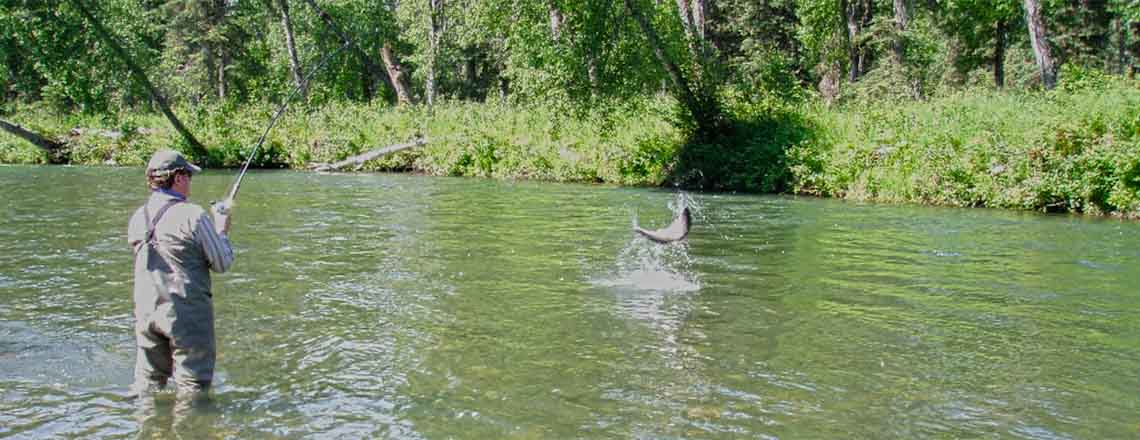 Alaska king salmon fly-in river fishing trips
