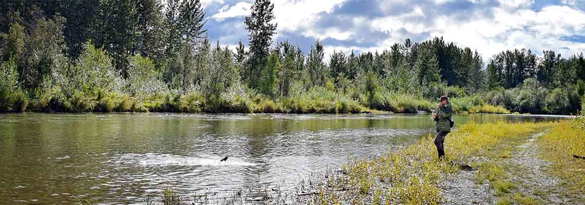 Alaska coho salmon river fishing trips