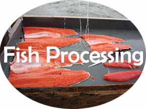 processing your catch in Alaska
