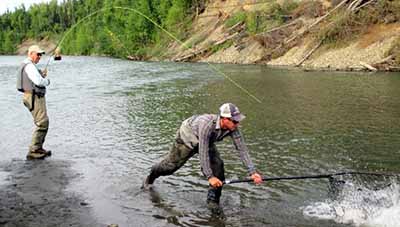 Alaska fishing guide and fly fishing jobs