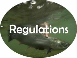 Alaska fishing regulations guide