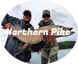 northern pike fishing adventures in alaska