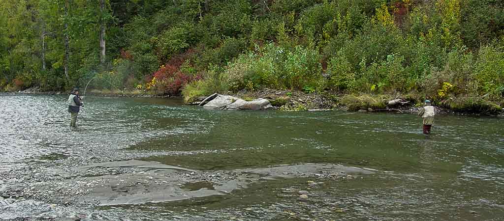 Peak remote river fishing in Alaska.