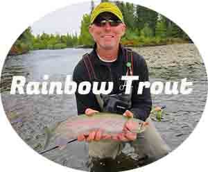 Trout fishing trips in Alaska