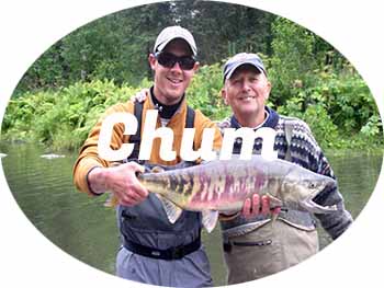 chum salmon fishing in alaska