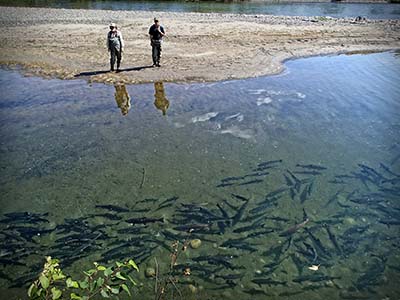 Fishing Alaska amidst Covid