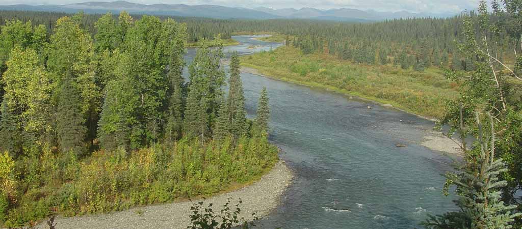 Alaska fly in river fishing