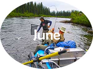 June fishing and adventure trips to Alaska