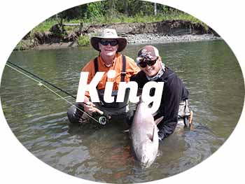 king salmon fishing in Alaska
