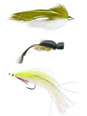 Fly patterns for Alaska rainbow trout