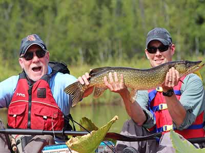 Peak Alaska pike fishing periods