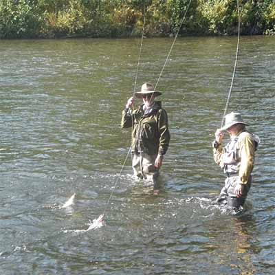 Peak Alaska rainbow trout fishing periods