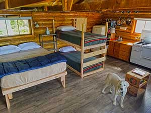 Alaska Pioneer cabin outpost trip.