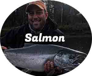 Salmon fishing in Alaska