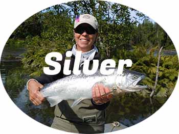 Silver salmon fishing in Alaska