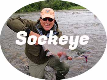 Sockeye salmon fishing trips in Alaska