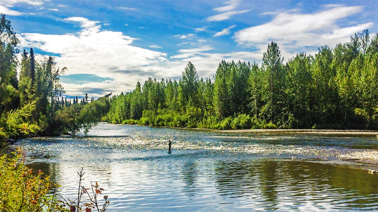 Alaska fishing lodge top reviewed trips