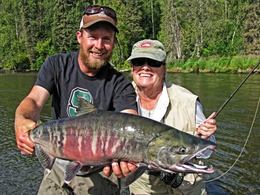 An amazing Alaska chum salmon caught by guided fishing and a fly-in lodge near Anchorage.