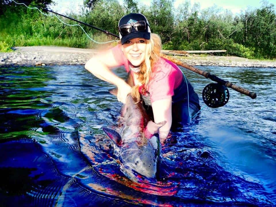 Alaska king salmon catch and release fly fishing on a remote clearwater river.